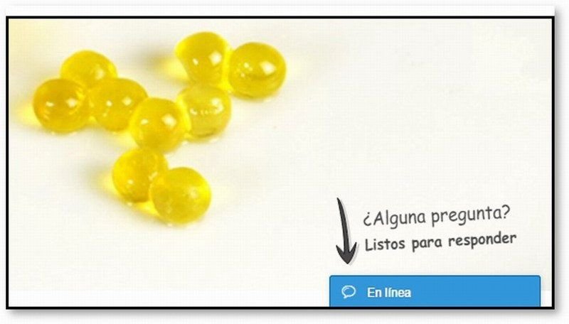 5_chat_en_vivo_con_whtasapp_web_papillon_w800_k6