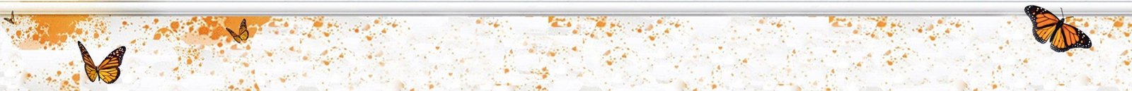 cabecera-neutra-servicios-web-papillon-mv-643x96 cabecera-neutra-servicios-web-papillon-mv-643x96