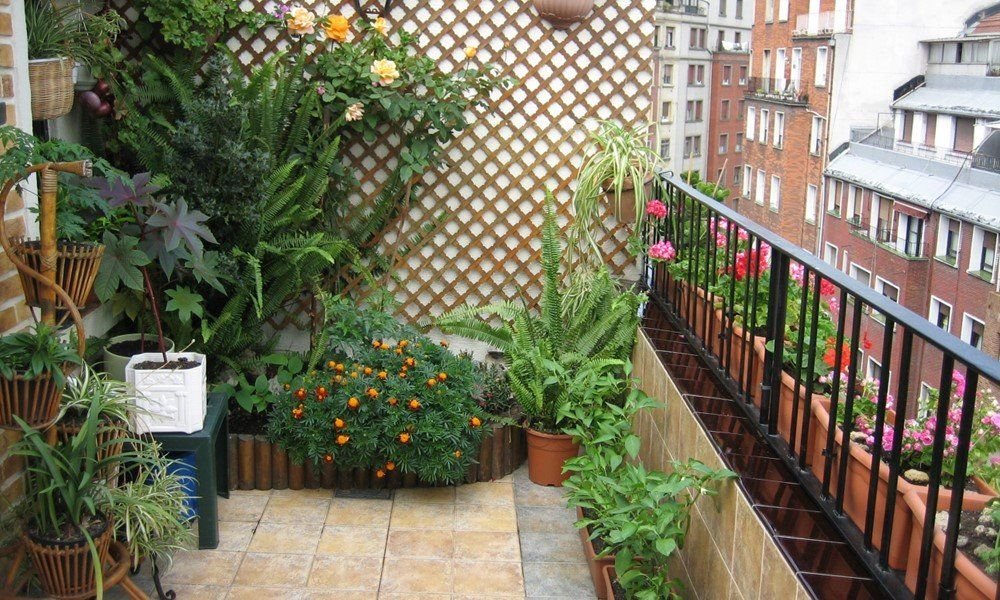 _galeria-alquileres_papillon_atico_novia_salcedo_1000x600 Atico de Novia Salcedo