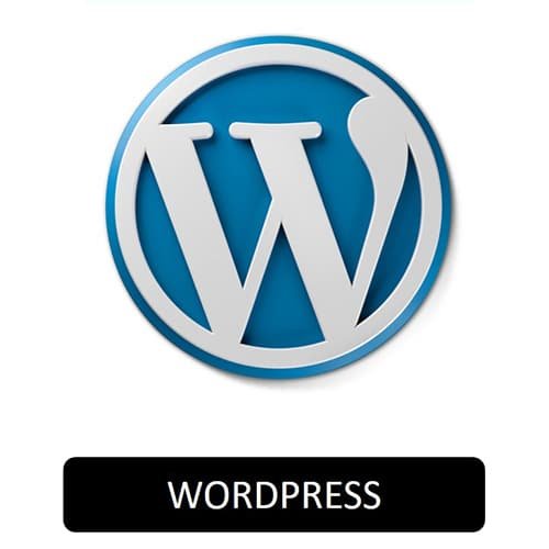 logo-wordpress-500x500 logo-wordpress-500x500