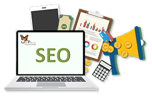 marketin-online-SEO-web-papillon-trans-300x200