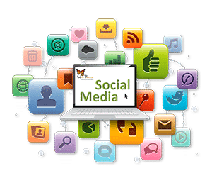 marketin-online-social.media-web-papillon-trans-300x200