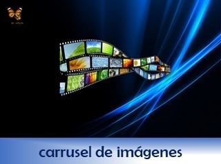 rotulo-servicio-carrusel-de-imagenes-web-papillon-320x235-ok