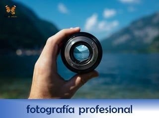 rotulo-servicio-fotografia-profesional-web-papillon-320x235-ok