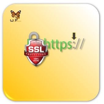 rotulo_servicio_certificado_ssl_web_papillon_340x340 rotulo-servicio-certificado-ssl-web-papillon-320x237