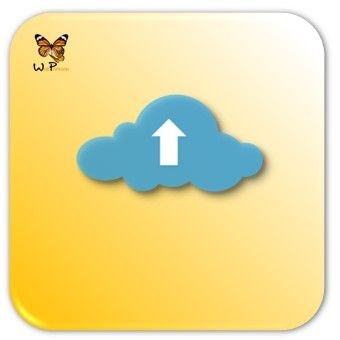 rotulo_servicio_copias_de_seguridad_diarias_web_papillon_340x340 22-rotulo-servicio-copias-de-seguridad-web-papillon-320x237